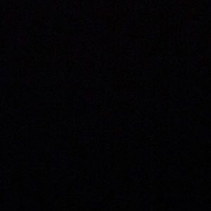 Meet your Posher, Gavin